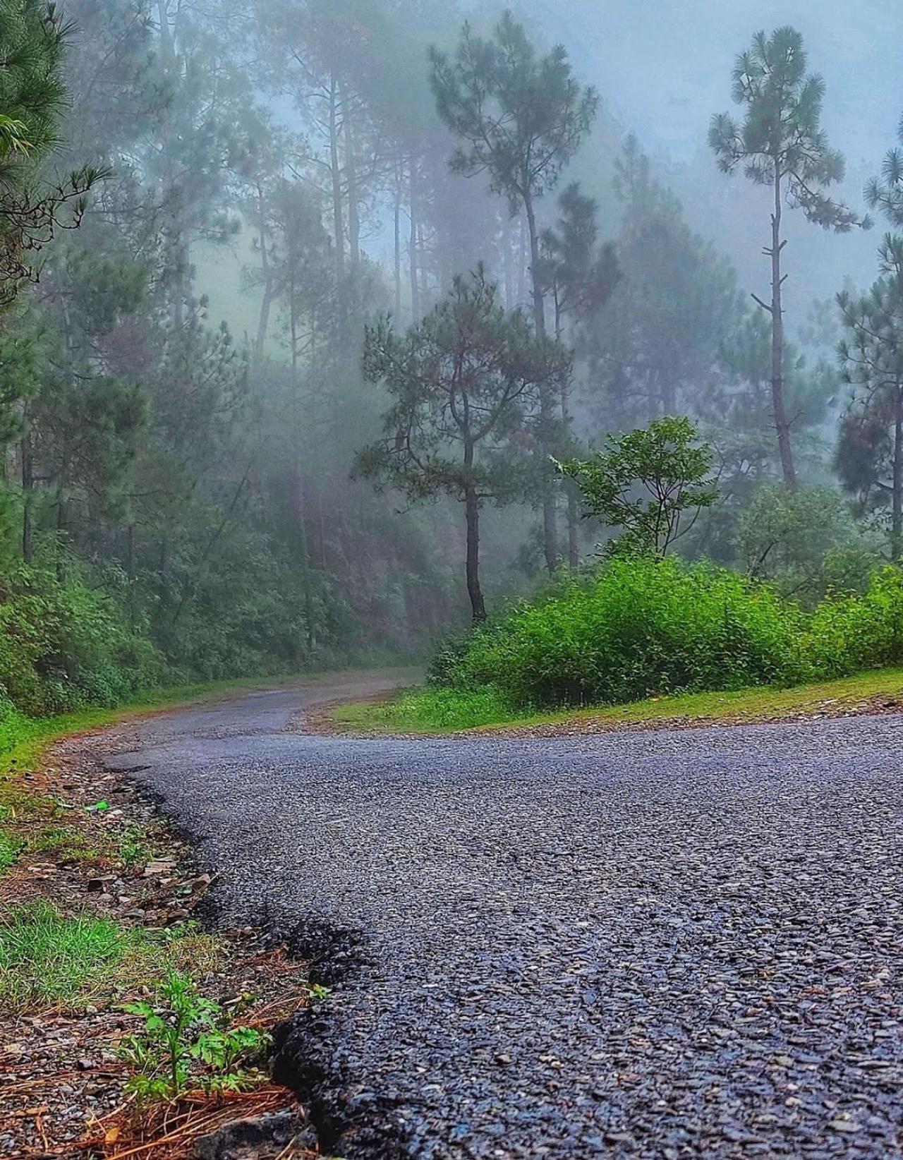 Kabana De Nature Rājgarh 외부 사진