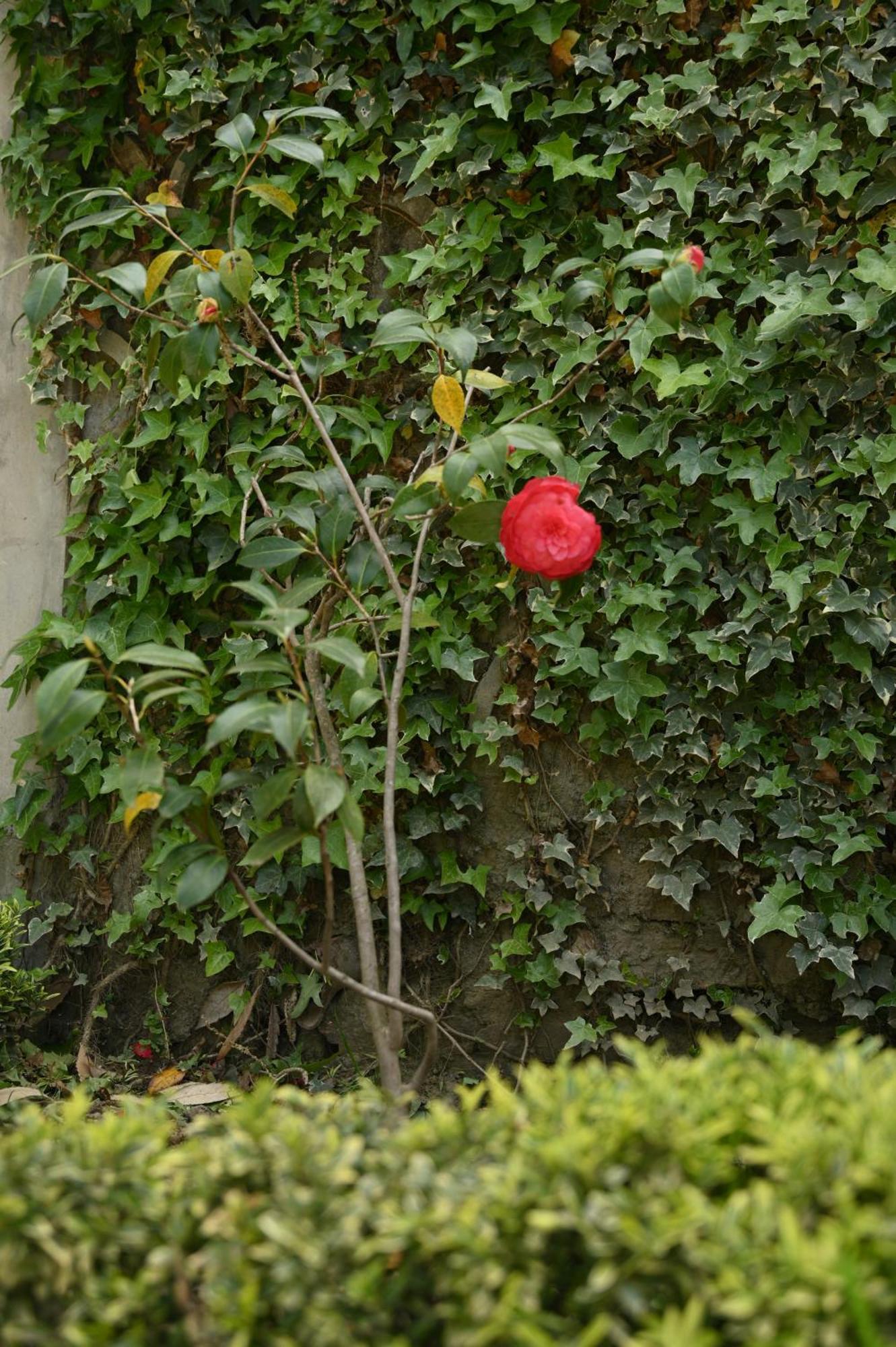 Kabana De Nature Rājgarh 외부 사진
